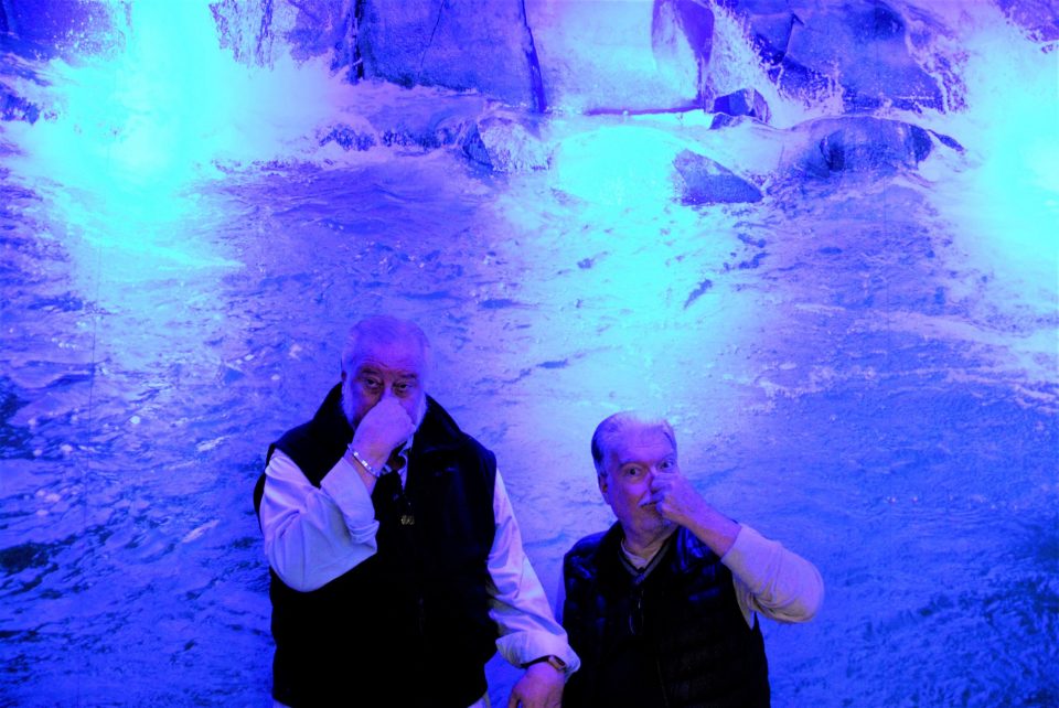 72694271_10221038252525452_3225046124582666240_o