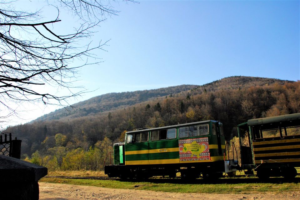 72771987_10221038259645630_5806143516098691072_o