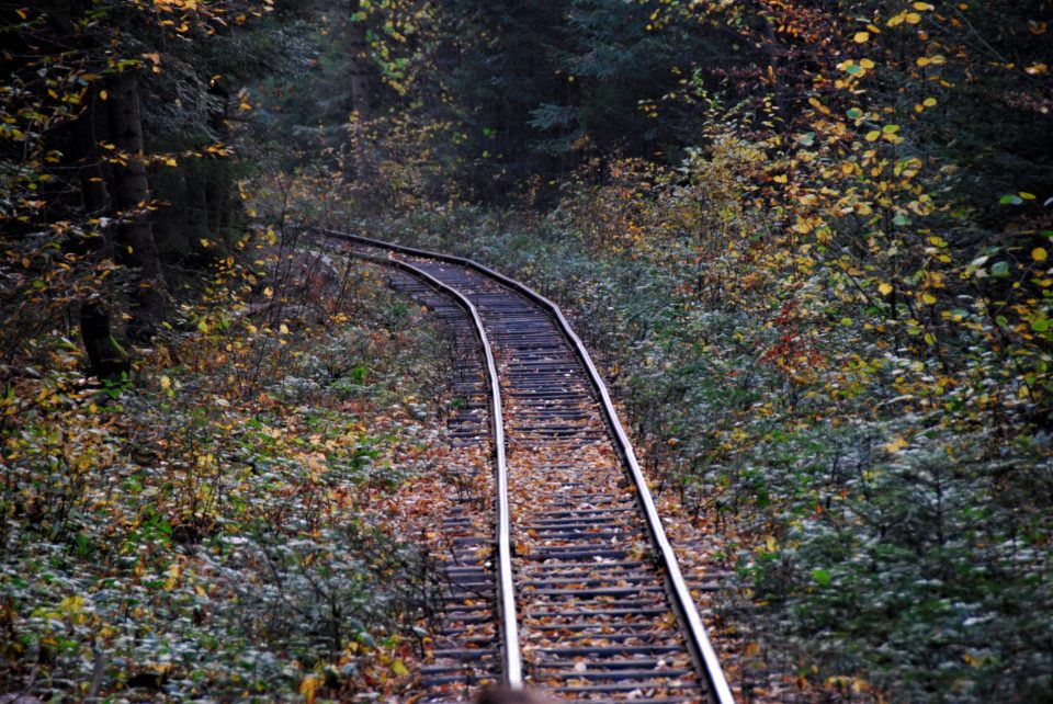 74979486_10221038265645780_1788519781867978752_o